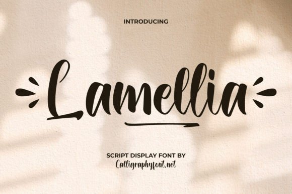 Lamellia Font: A Playful Script for Editorial Design and Branding